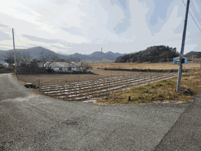 2026타경1010 사진