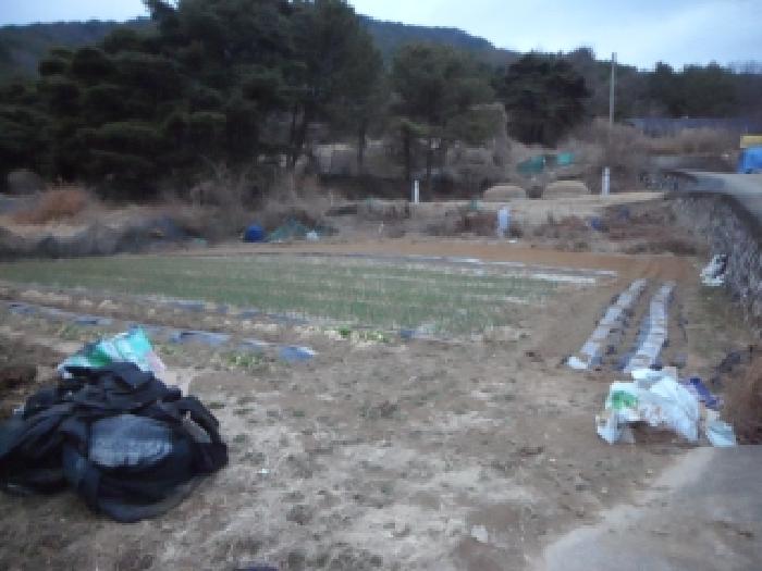 2026타경3109 사진