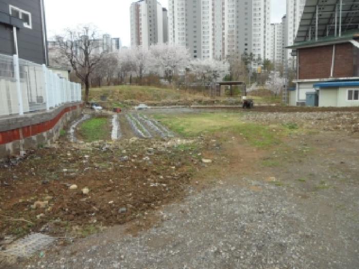 2026타경3123 사진