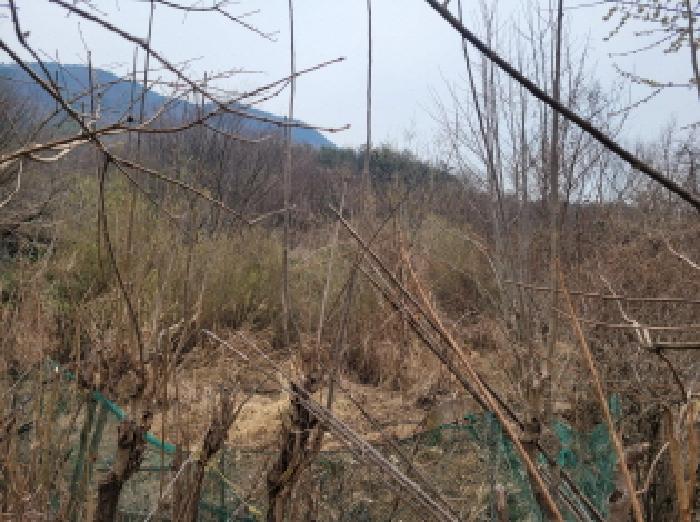 2026타경3187 사진