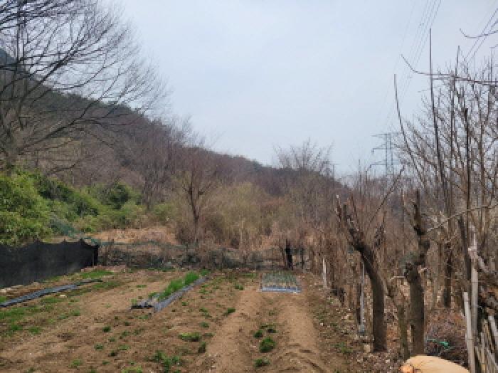 2026타경3187 사진
