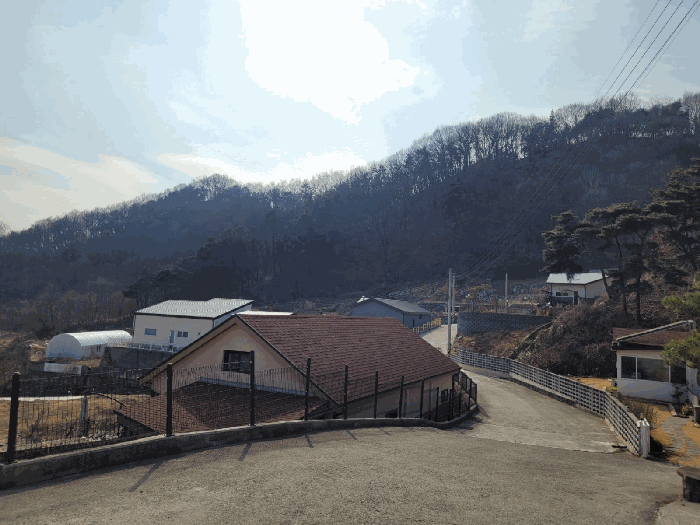 2026타경3253 사진