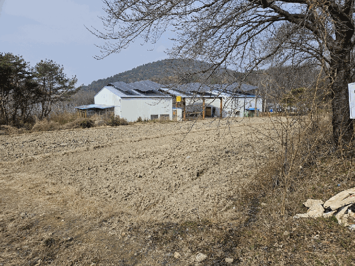 2026타경3276 사진