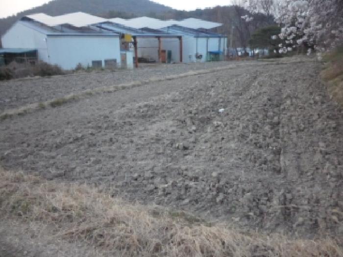 2026타경3276 사진