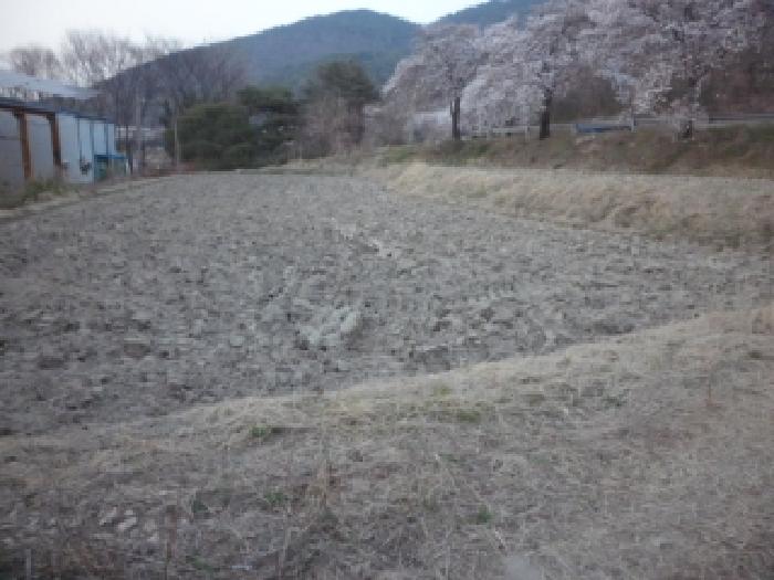 2026타경3276 사진