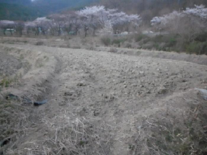 2026타경3276 사진