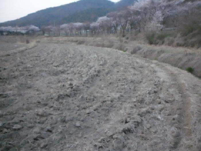 2026타경3276 사진