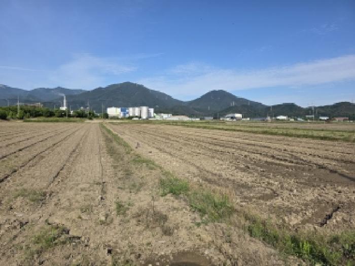 2026타경3633 사진