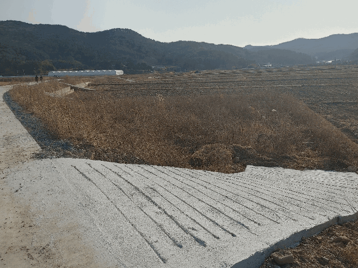 2026타경10005 사진