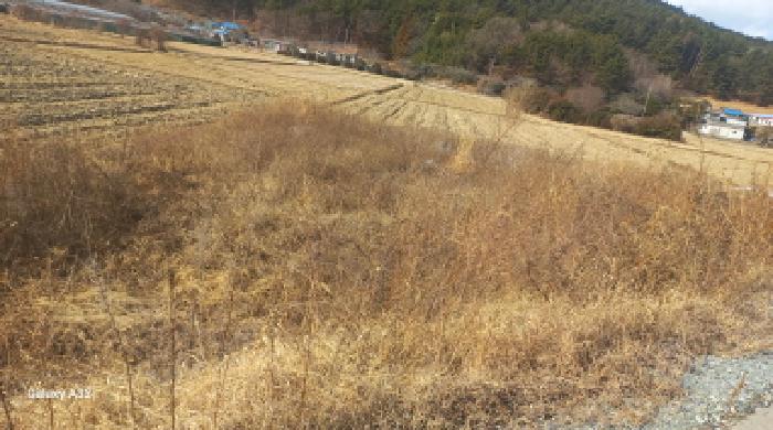 2026타경10005 사진