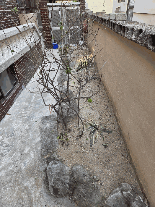 2026타경10023 사진