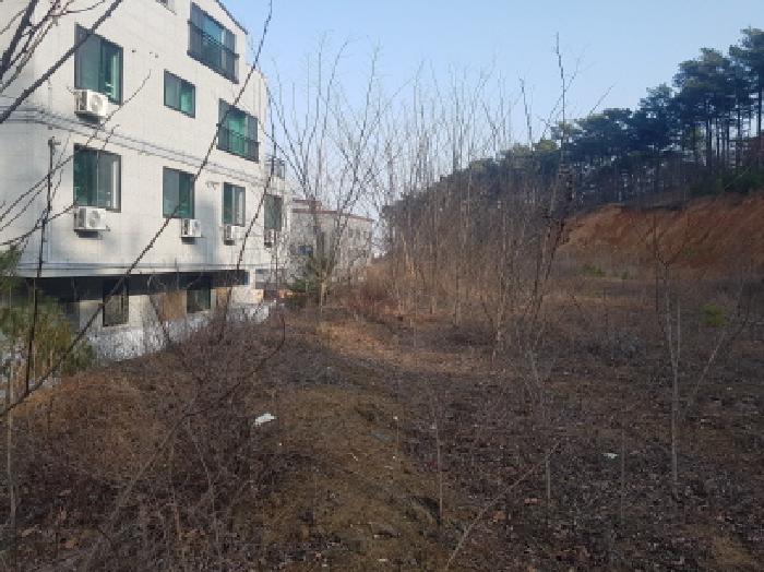 2026타경10030 사진