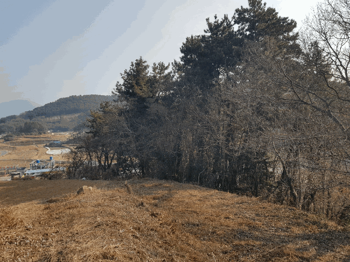 2026타경10035 사진