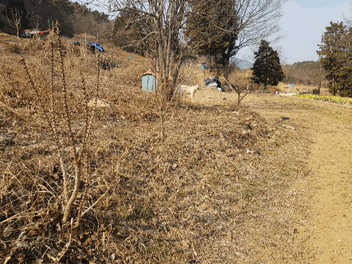 2026타경10035 사진