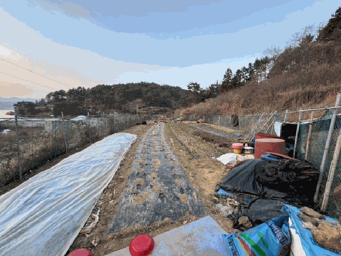 2026타경10053 사진