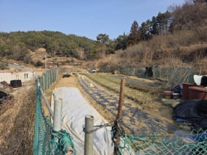 2026타경10053 사진