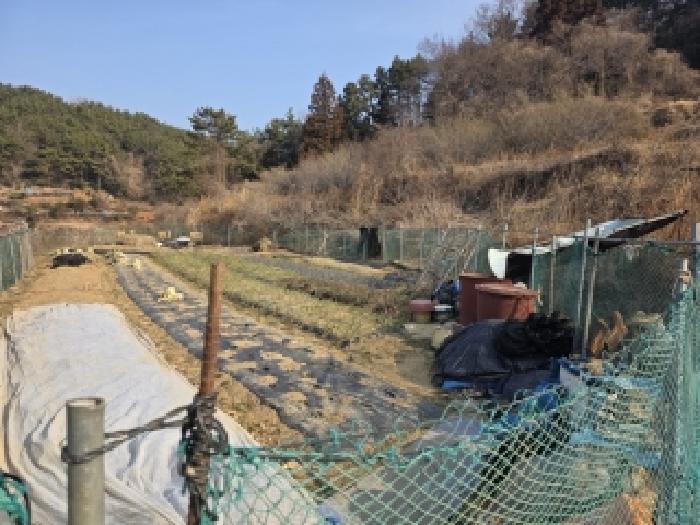 2026타경10053 사진
