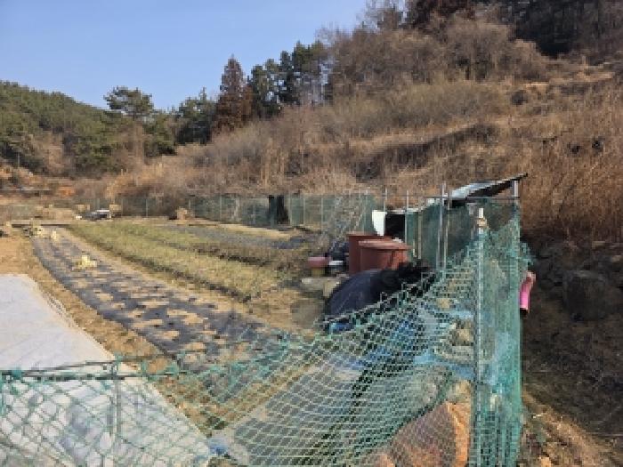 2026타경10053 사진