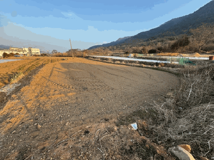 2026타경10062 사진
