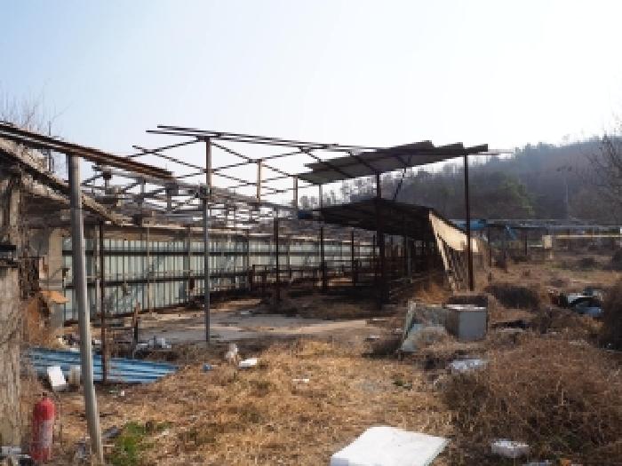 2026타경10063 사진