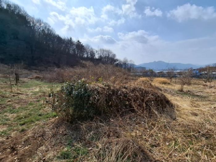2026타경10067 사진