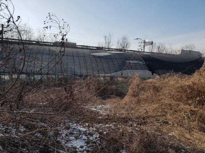 2026타경10126 사진