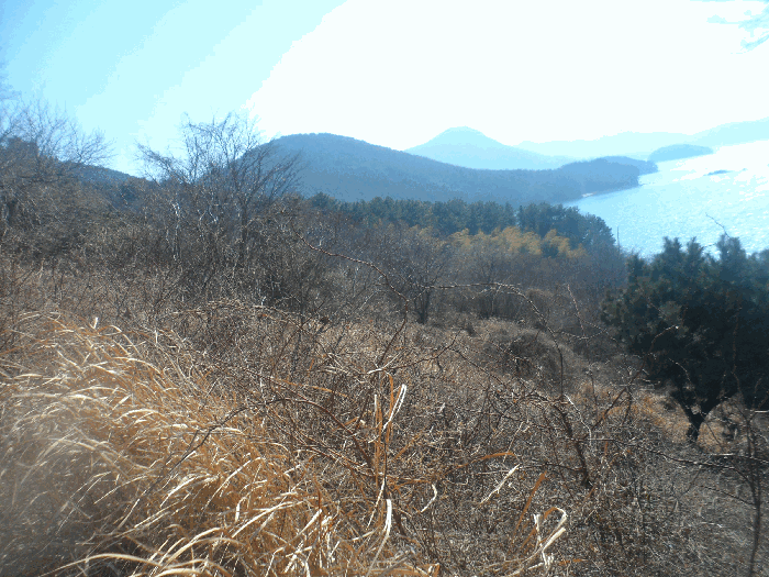 2026타경10163 사진