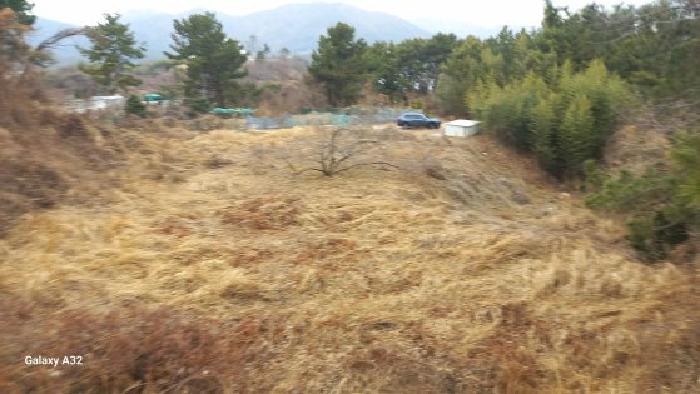 2026타경10163 사진