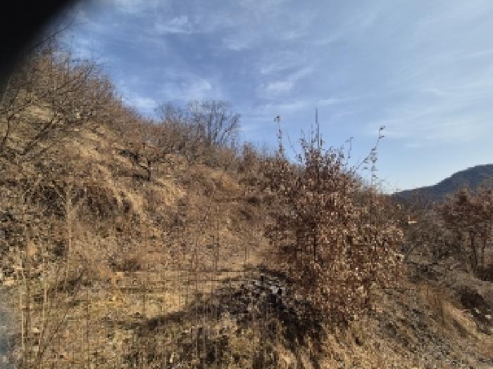 2026타경10176 사진