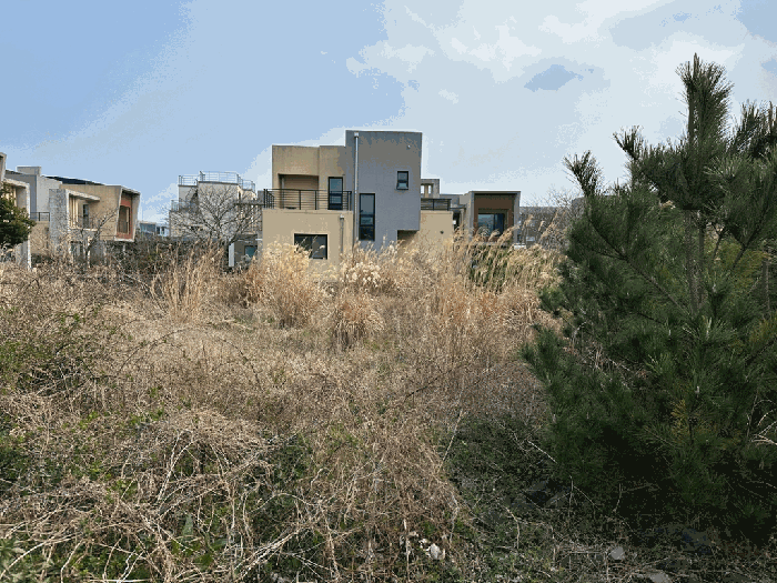 2026타경10243 사진