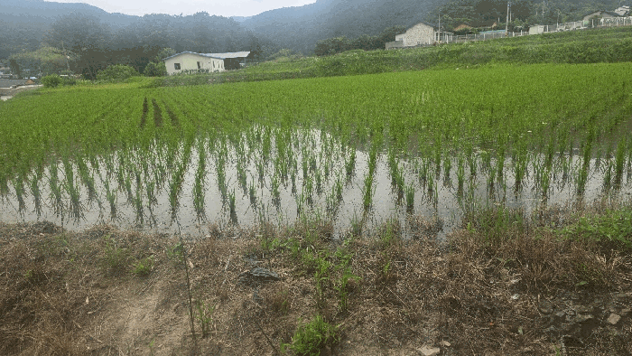2026타경10271 사진