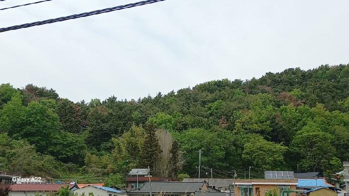 2026타경10413 사진