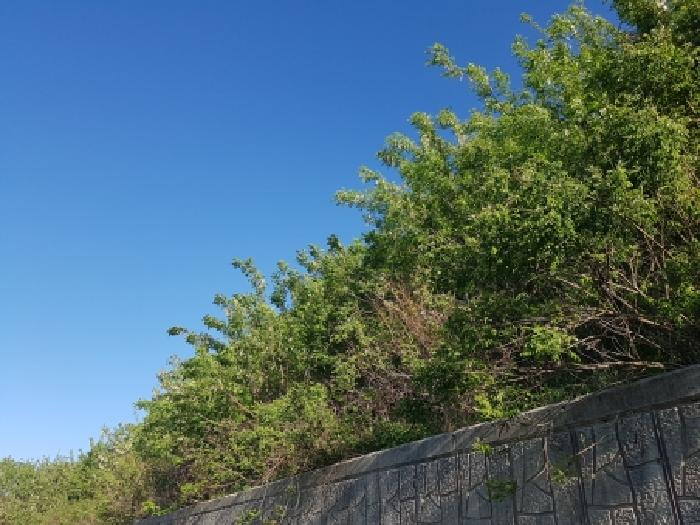 2026타경10720 사진
