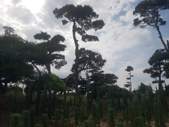 2026타경10865 사진