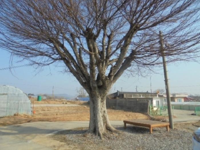 2026타경20035 사진
