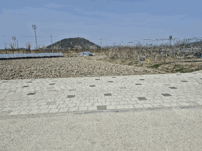 2026타경20092 사진