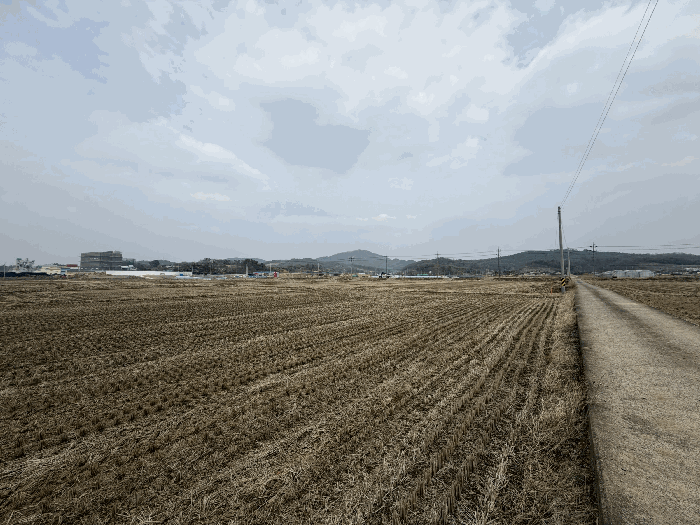 2026타경20124 사진