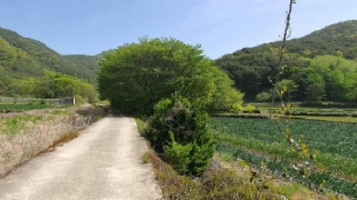 2026타경20195 사진