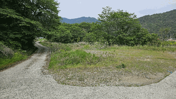 2026타경20195 사진