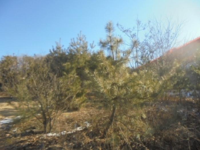 2026타경30032 사진