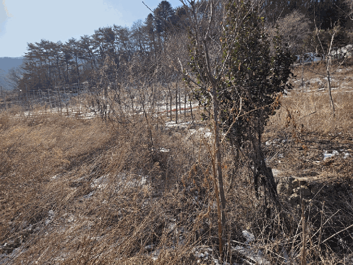 2026타경30073 사진