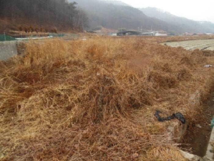 2026타경30110 사진