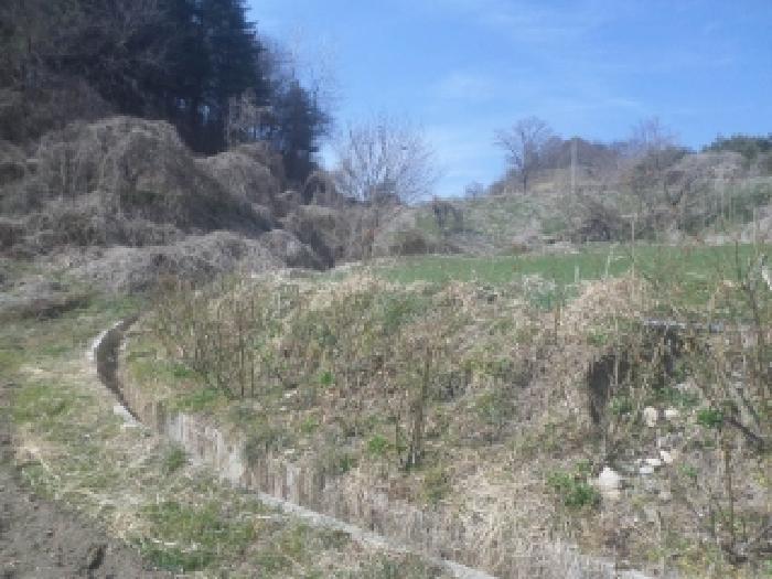 2026타경30258 사진