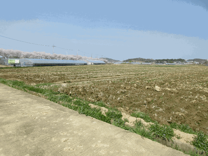 2026타경30899 사진
