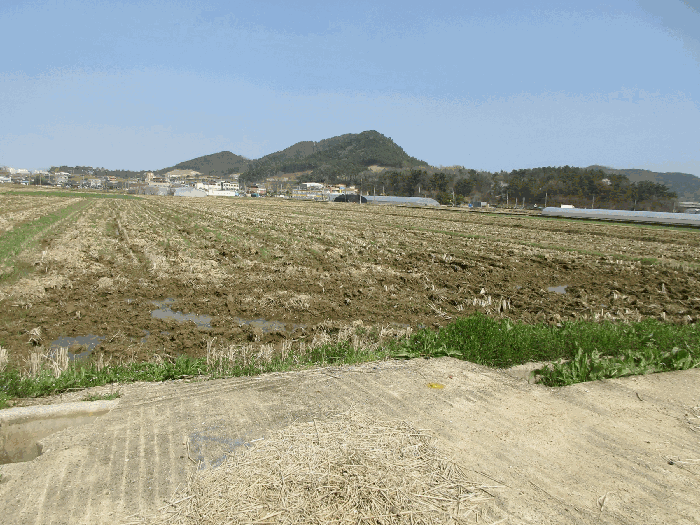 2026타경30899 사진