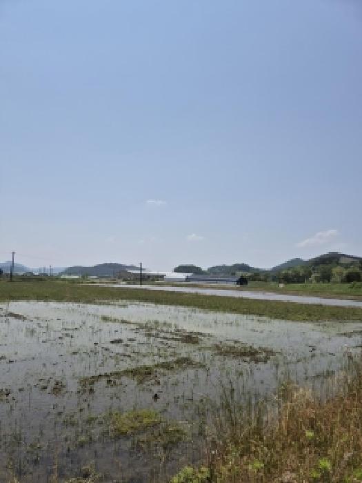 2026타경31428 사진