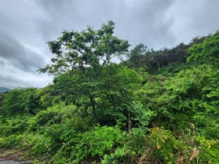 2026타경31512 사진