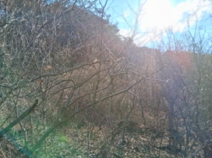2026타경50048 사진