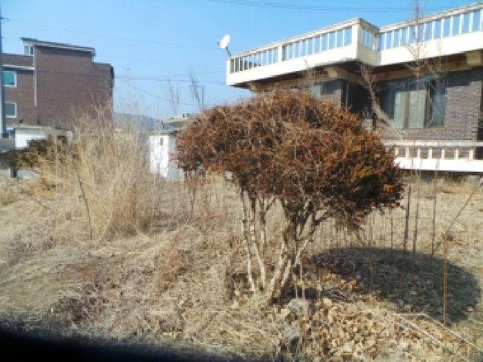 2026타경50071 사진