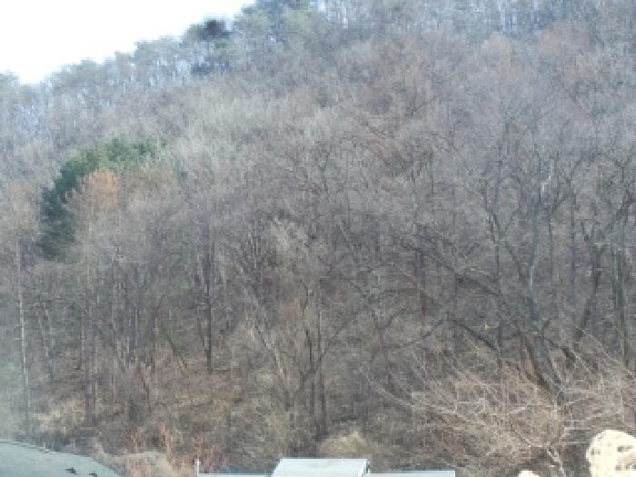 2026타경50073 사진